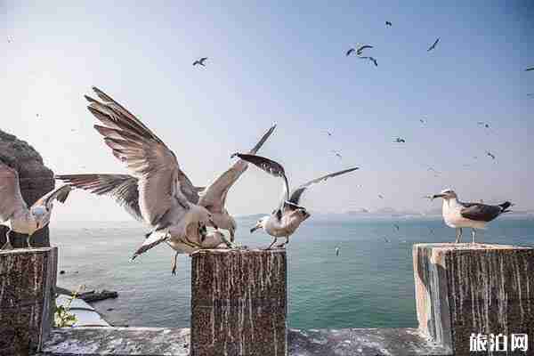 威海西霞口三日旅游攻略+交通+住宿+行程