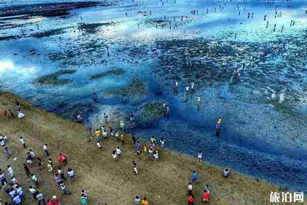 2019潭門趕海節時間+地點+交通+活動介紹