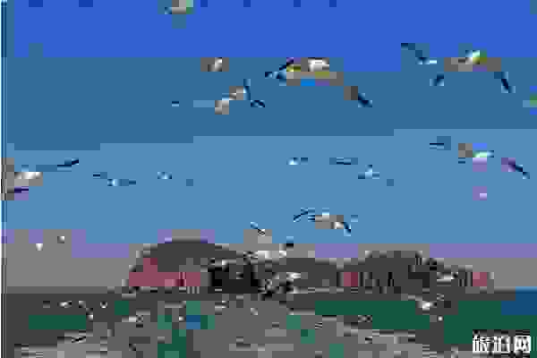 威海旅游行程推薦+交通指南+住宿指南 威海旅游行程推薦+交通指南+住宿指南