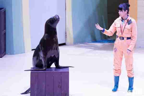 珠海長(zhǎng)隆海洋世界游玩攻略 珠海長(zhǎng)隆海洋世界游玩攻略