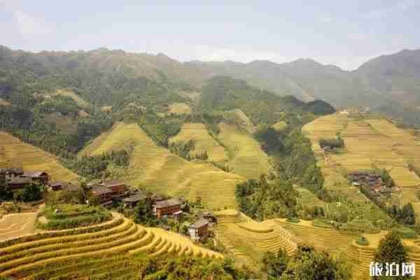 廣西八天旅游攻略+路線+交通+費用+美食+住宿