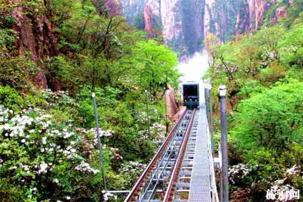 黃山景區網紅打卡點盤點