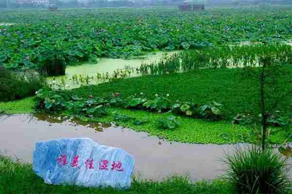 重慶大足區周邊有哪些好玩景點  交通路線怎么走