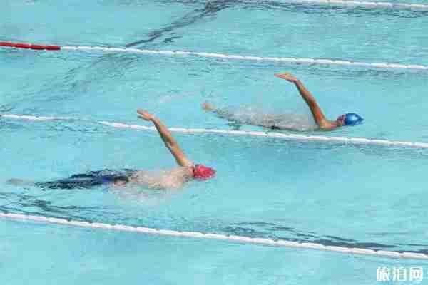 2019重庆主城区游泳馆大盘点(地址+电话+交通) 2019重庆主城区游泳馆大盘点(地址+电话+交通)