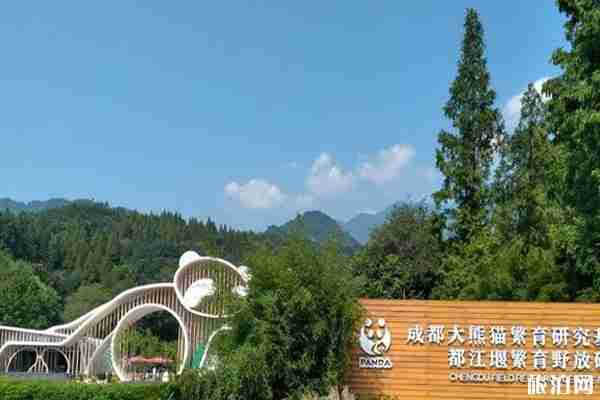 成都看熊猫攻略 成都看熊猫攻略
