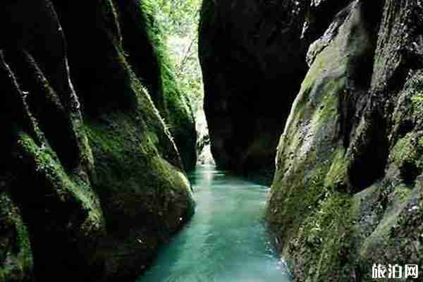 福建周边有哪些便宜又好玩的避暑胜地 分别又有哪些特色 福建周边有哪些便宜又好玩的避暑胜地 分别又有哪些特色