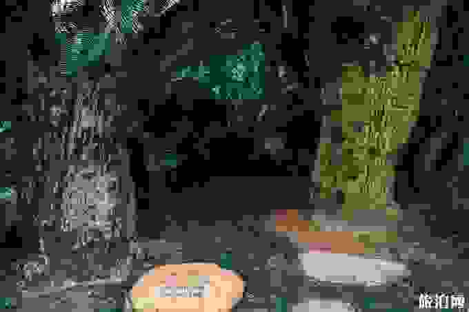 廣西南寧青秀山風景區旅游攻略