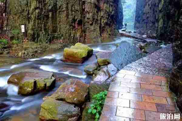 洛陽避暑有哪些地方不錯(cuò)