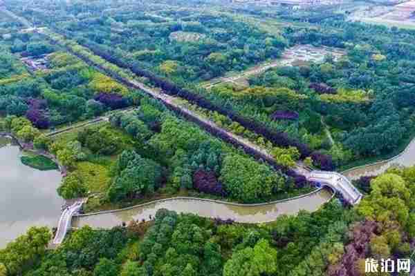 洛陽避暑有哪些地方不錯(cuò)