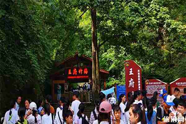 栾川王府竹海景区优惠信息汇总