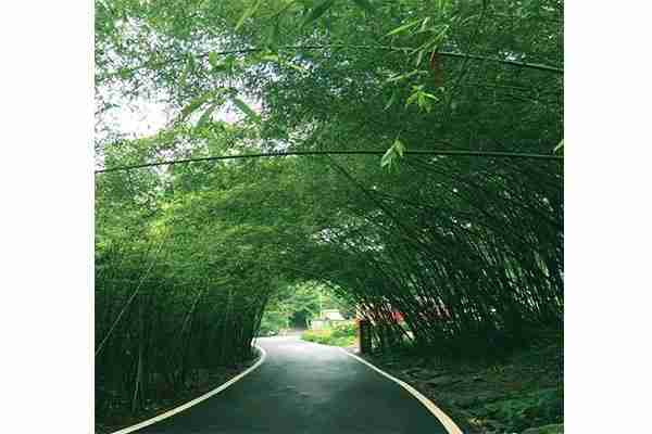 栾川王府竹海一日游玩攻略 栾川王府竹海一日游玩攻略