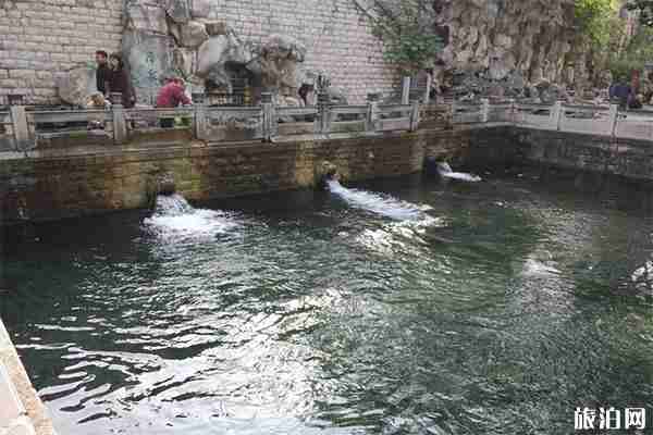 济南游玩泉城经典泉群精华推荐 济南游玩泉城经典泉群精华推荐