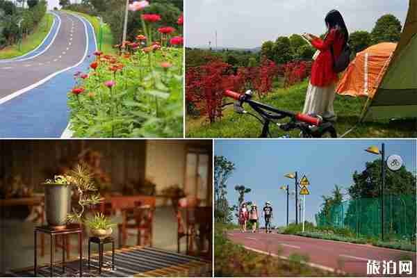 常州自驾游线路推荐 最美8条自驾游线路推荐 常州自驾游线路推荐 最美8条自驾游线路推荐