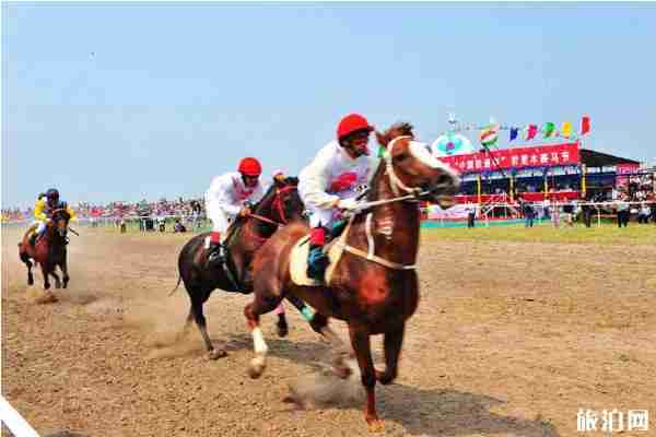 2019年818哲里木赛马节时间+地点+活动安排+看点+交通管制 2019年818哲里木赛马节时间+地点+活动安排+看点+交通管制