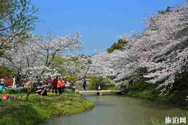 无锡赏花的地方有哪些+赏花季节 无锡赏花的地方有哪些+赏花季节