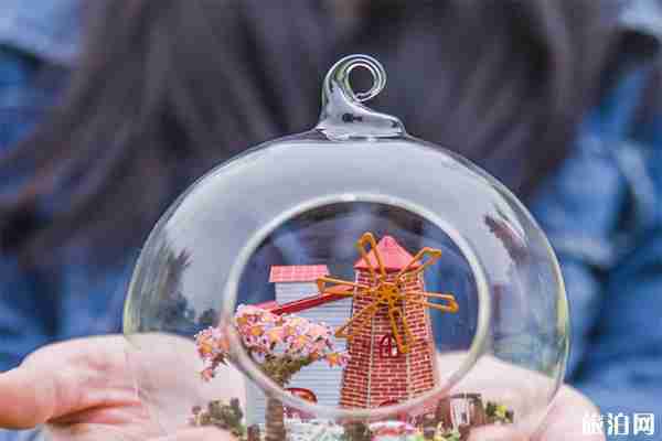 荷兰有哪些值得购物的物品   2019必买购物清单 荷兰有哪些值得购物的物品   2019必买购物清单