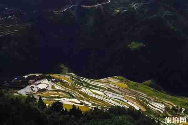 梵净山门票可以提前几天购买+游玩攻略2019 梵净山门票可以提前几天购买+游玩攻略2019