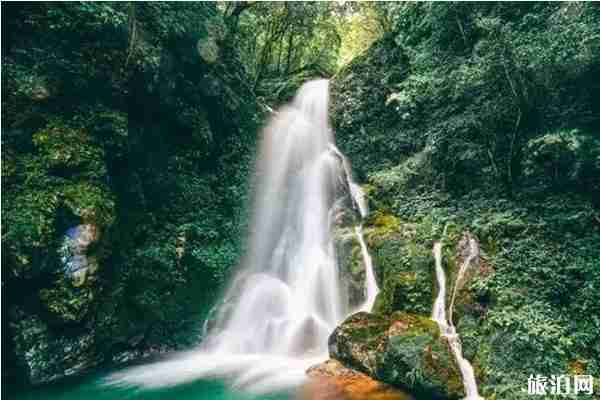 梵净山门票可以提前几天购买+游玩攻略2019 梵净山门票可以提前几天购买+游玩攻略2019