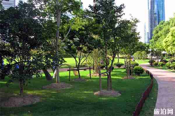 上海哪里可以賞紅楓葉 上海哪里可以賞紅楓葉