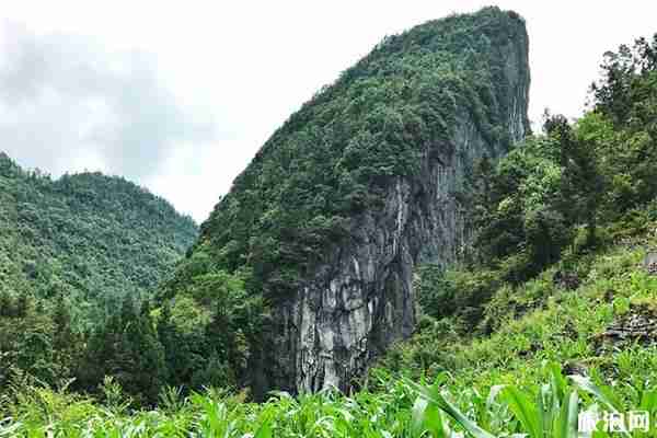 利川清江古河床游玩攻略