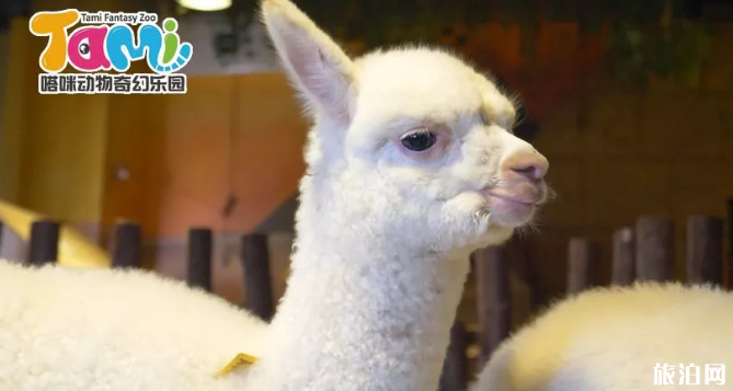 8月杭州優惠景點匯總(門票+活動時間) 8月杭州優惠景點匯總(門票+活動時間)