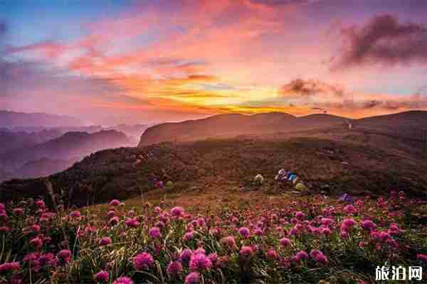 貴州韭菜坪索道和觀光車票多少錢 貴州韭菜坪索道和觀光車票多少錢
