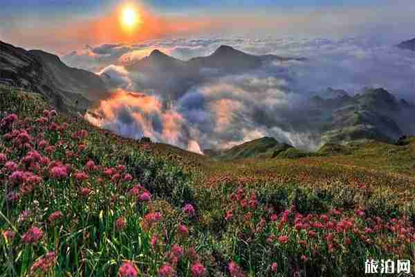 貴州韭菜坪索道和觀光車票多少錢 貴州韭菜坪索道和觀光車票多少錢