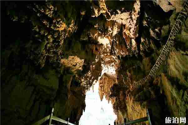 貴州畢節(jié)免費(fèi)開放景區(qū) 貴州畢節(jié)免費(fèi)開放景區(qū)