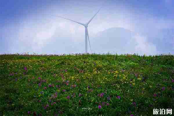 韭菜坪旅游景區免費游玩嗎 自駕+停車收費+路況2019 韭菜坪旅游景區免費游玩嗎 自駕+停車收費+路況2019