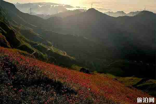 韭菜坪旅游景區免費游玩嗎 自駕+停車收費+路況2019