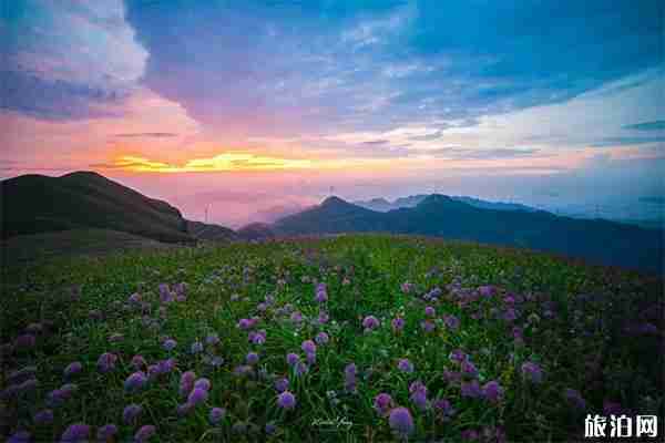 韭菜坪旅游景區免費游玩嗎 自駕+停車收費+路況2019 韭菜坪旅游景區免費游玩嗎 自駕+停車收費+路況2019