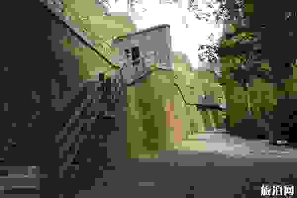 在莫高窟能看到哪些洞窟+具體指南