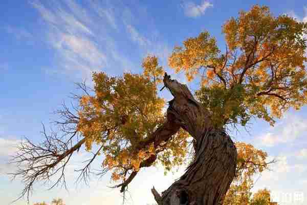 九月哪里的秋景最美 九月哪里的秋景最美