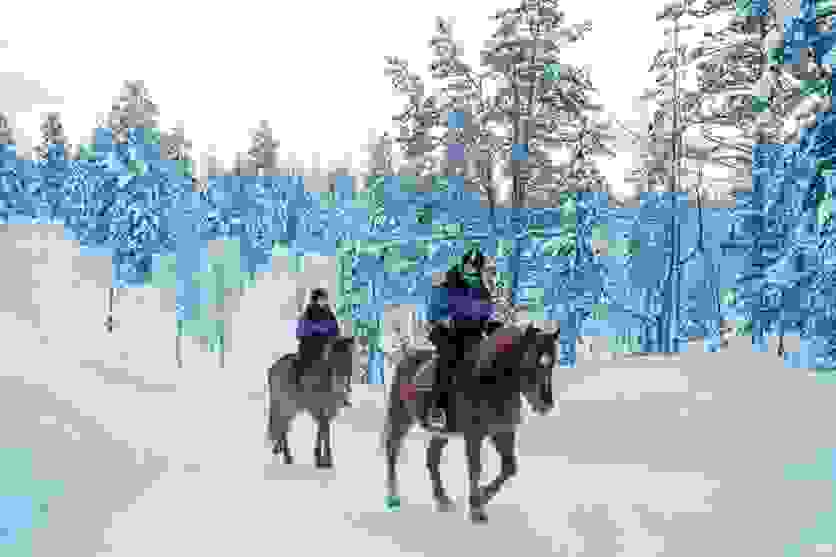 芬兰旅游特色必体验项目 芬兰旅游特色必体验项目