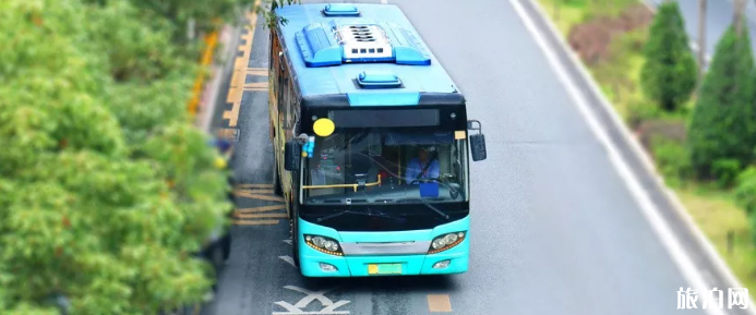 2019哈爾濱國際馬拉松交通管制路段+繞行攻略+調整公交線路