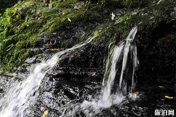 安徽石臺一日游景點推薦