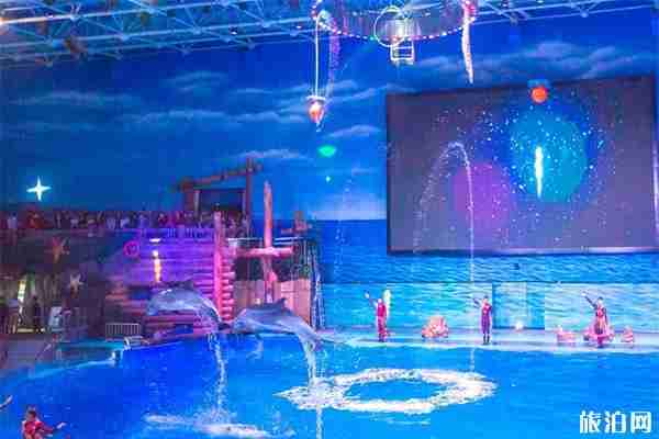 大連老虎灘海洋公園8月份表演時間+索道多少錢 大連老虎灘海洋公園8月份表演時間+索道多少錢