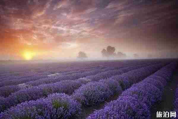 法國有哪些好玩的地方呢 分別又有哪些娛樂項目 法國有哪些好玩的地方呢 分別又有哪些娛樂項目