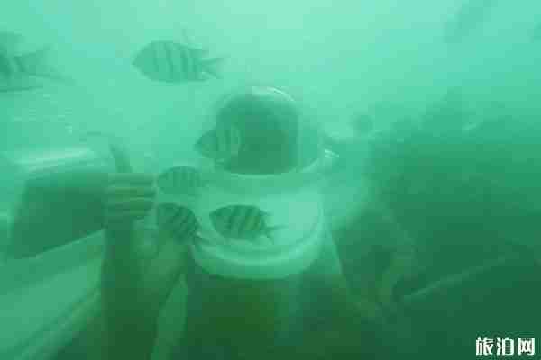 泰国珊瑚岛好玩吗  2019泰国珊瑚岛自由行攻略