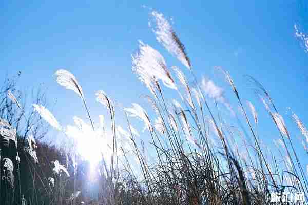 東白山有什么好玩的 自駕游路線