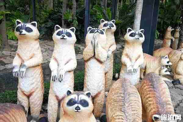 泰國東芭樂園怎么樣 門票價格與表演時間分別是什么時候 泰國東芭樂園怎么樣 門票價格與表演時間分別是什么時候