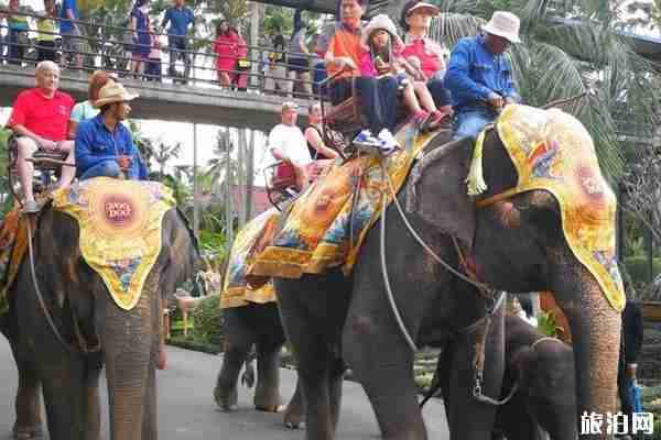泰國東芭樂園怎么樣 門票價格與表演時間分別是什么時候 泰國東芭樂園怎么樣 門票價格與表演時間分別是什么時候