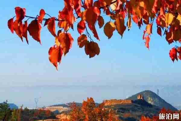 神木旅游景點有哪些 神木旅游景點介紹