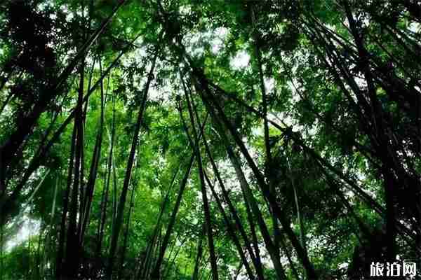 蘭州適合郊游的自然生態景區有哪些