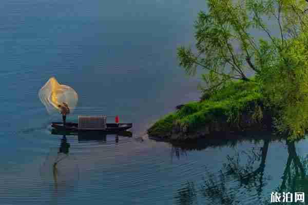 婺源網紅打卡地推薦