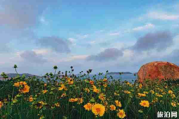 南麂島游玩攻略 浙江溫州南麂島景點