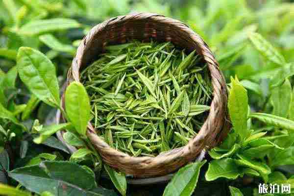 婺源特產(chǎn)有哪些可帶走的