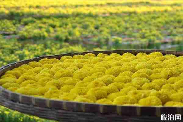 婺源特產(chǎn)有哪些可帶走的