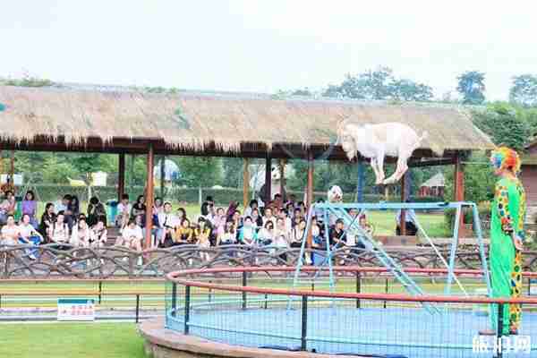 安吉田園嘉樂比樂園好玩嗎 安吉田園嘉樂比樂園有什么項目