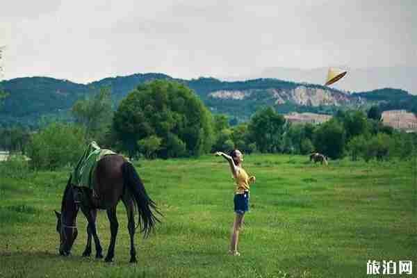 麗江網(wǎng)紅打卡地有哪些